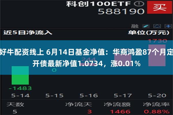 好牛配资线上 6月14日基金净值：华商鸿盈87个月定开债最新净值1.0734，涨0.01%