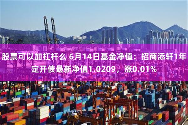 股票可以加杠杆么 6月14日基金净值：招商添轩1年定开债最新净值1.0209，涨0.01%