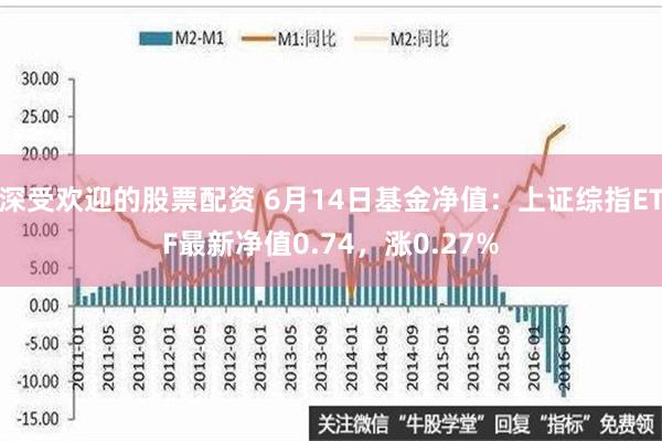 深受欢迎的股票配资 6月14日基金净值：上证综指ETF最新净值0.74，涨0.27%