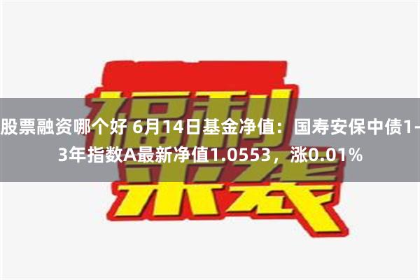 股票融资哪个好 6月14日基金净值：国寿安保中债1-3年指数A最新净值1.0553，涨0.01%