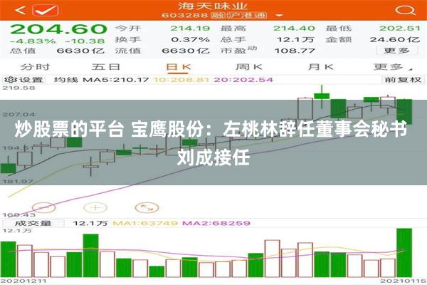 炒股票的平台 宝鹰股份：左桃林辞任董事会秘书 刘成接任