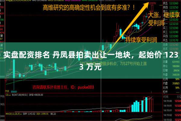 实盘配资排名 丹凤县拍卖出让一地块，起始价 1233 万元