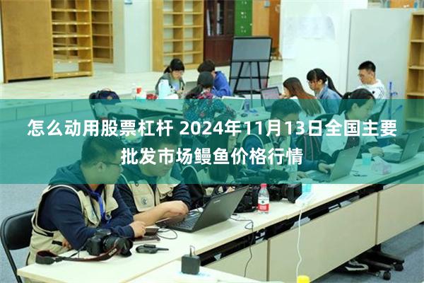 怎么动用股票杠杆 2024年11月13日全国主要批发市场鳗鱼价格行情