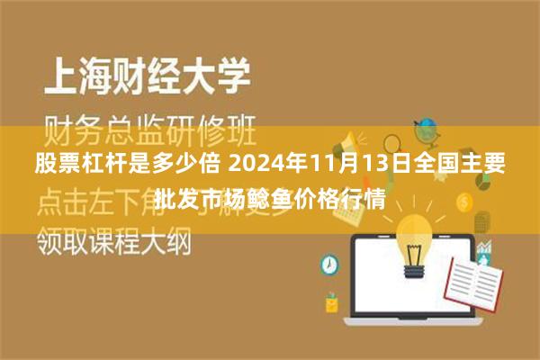 股票杠杆是多少倍 2024年11月13日全国主要批发市场鲶鱼价格行情