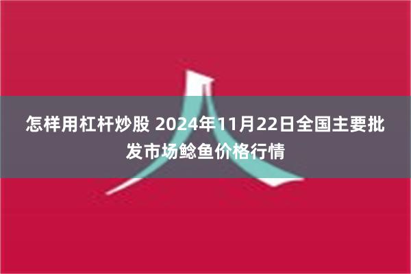 怎样用杠杆炒股 2024年11月22日全国主要批发市场鲶鱼价格行情