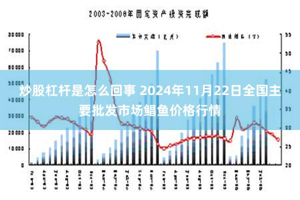 炒股杠杆是怎么回事 2024年11月22日全国主要批发市场鲳鱼价格行情