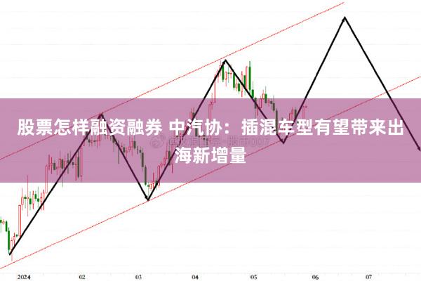 股票怎样融资融券 中汽协：插混车型有望带来出海新增量